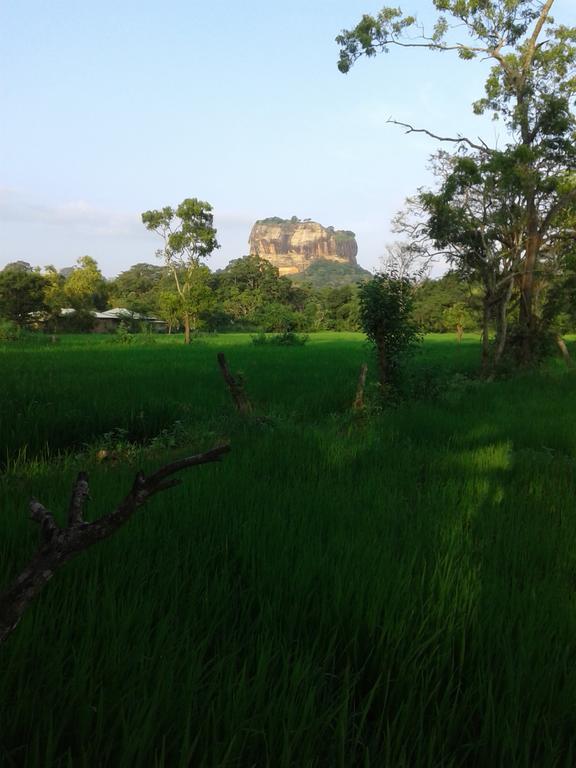 Sigiri Leisure Holiday Home Sigiriya Buitenkant foto