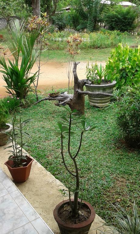 Sigiri Leisure Holiday Home Sigiriya Buitenkant foto