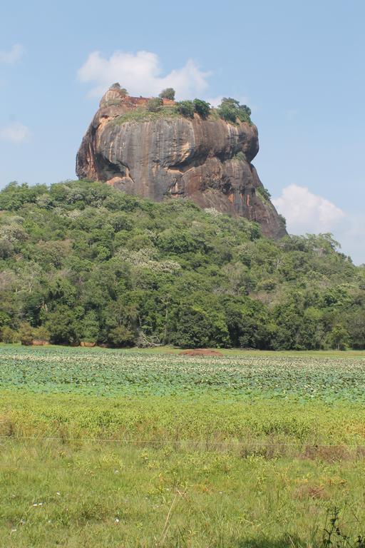 Sigiri Leisure Holiday Home Sigiriya Buitenkant foto