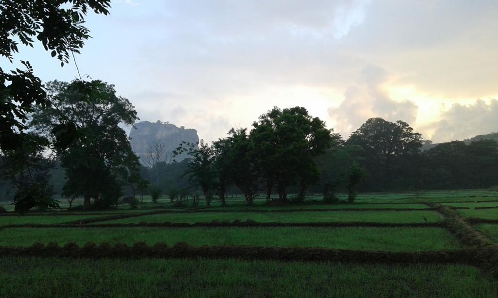 Sigiri Leisure Holiday Home Sigiriya Buitenkant foto